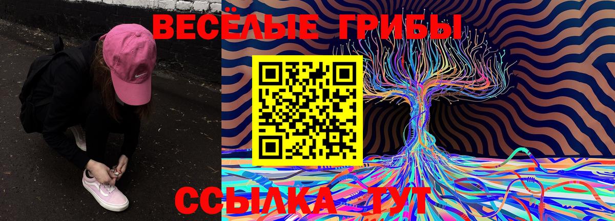 Галлюциногенные грибы Cubensis  Галлюциногенные грибы ЛСД  Зерноград  Вход с VPN 